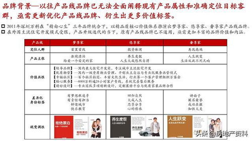 萬科地產(chǎn)全產(chǎn)品線打造與營(yíng)銷策劃實(shí)踐 從研發(fā)設(shè)計(jì)到市場(chǎng)引爆的戰(zhàn)略之道